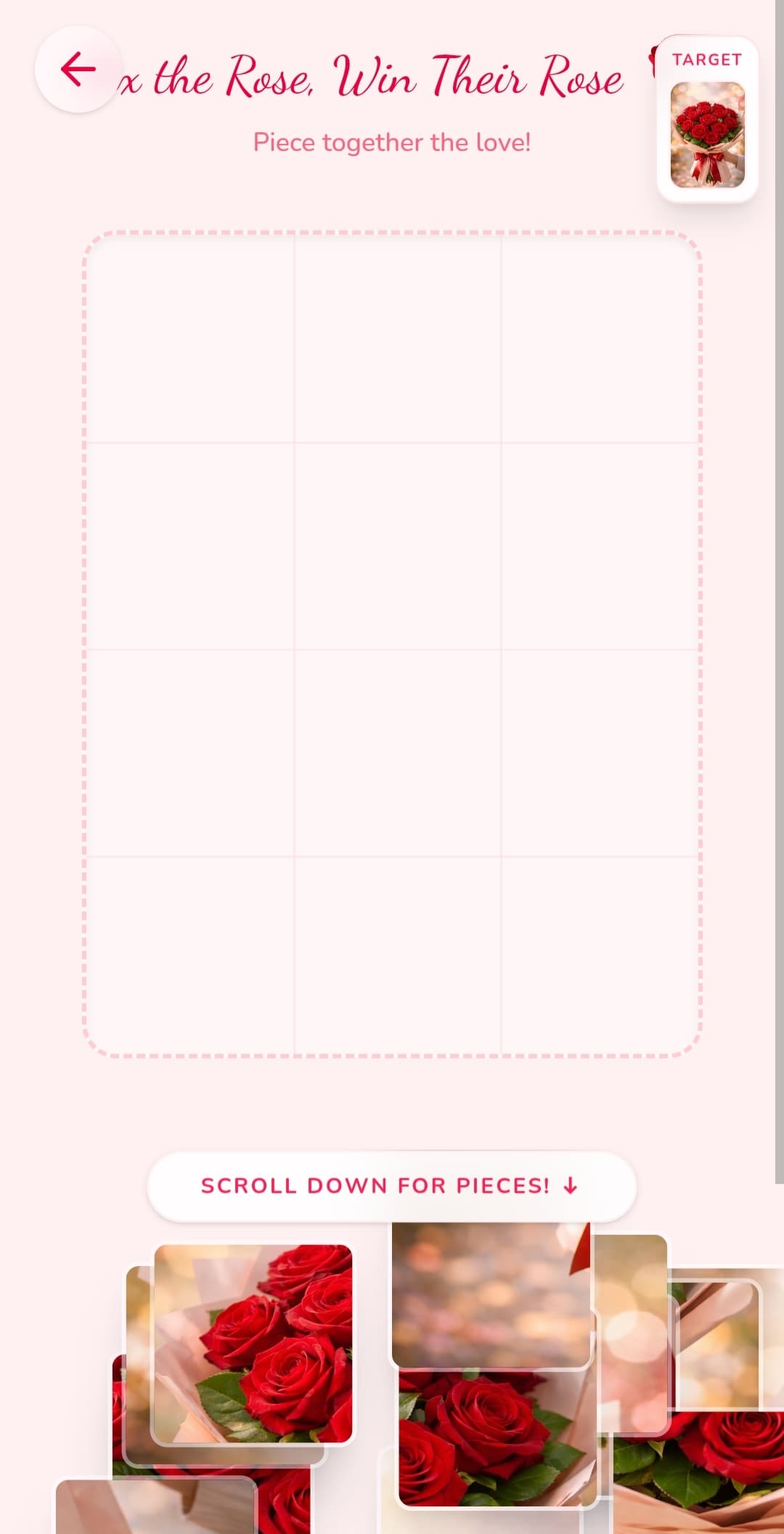 5. Partner's Experience